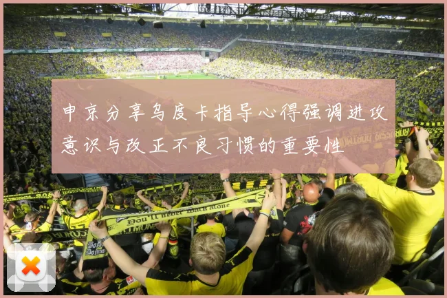 申京分享乌度卡指导心得强调进攻意识与改正不良习惯的重要性