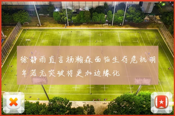 徐静雨直言杨瀚森面临生存危机明年若无突破将更加边缘化